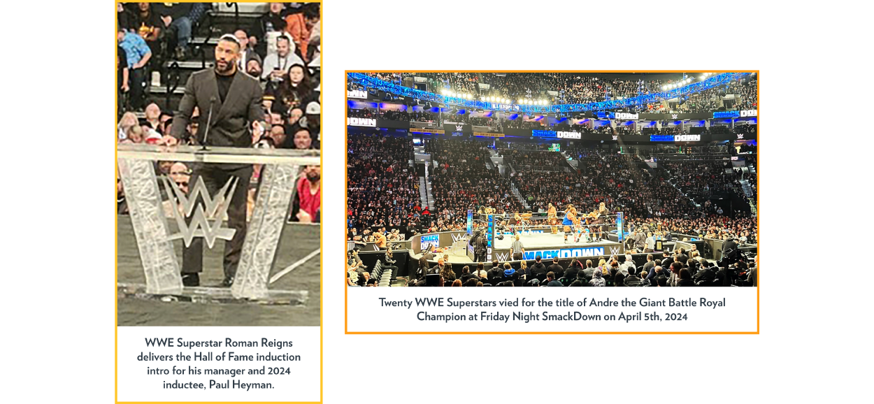 Shot of ring during Battle Royal